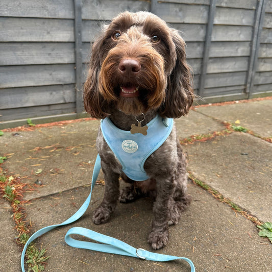 Blue Skies 3 Piece Bundle