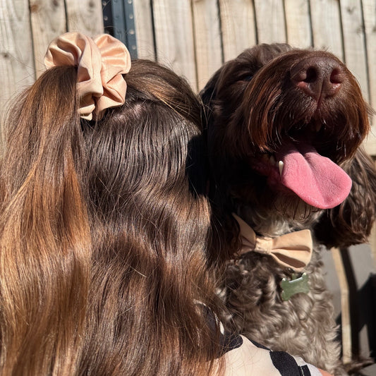 Champagne Bliss Scrunchie