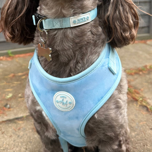 Blue Skies Harness and Collar Bundle