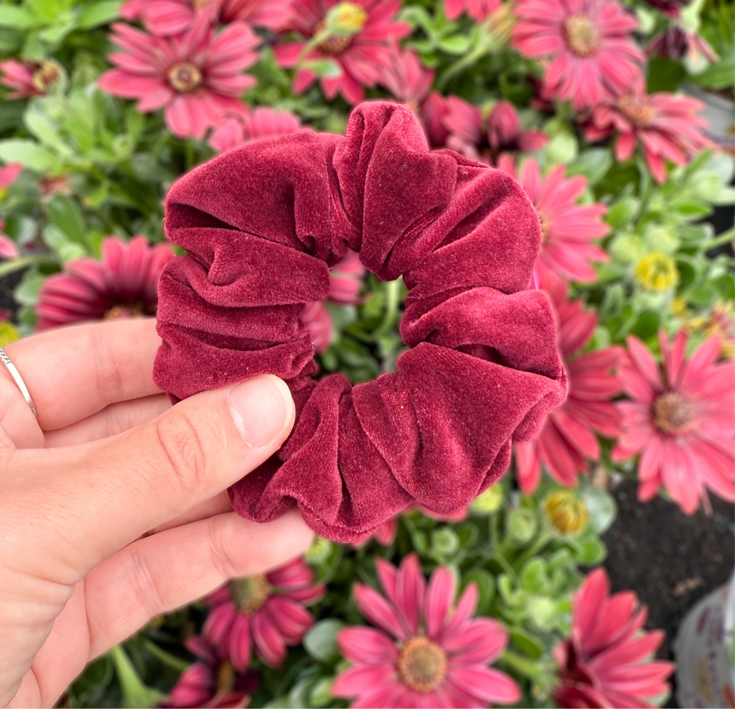 Burgundy Crush Scrunchie