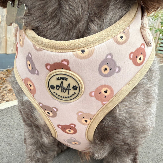 Bear Necessities Harness and Lead Bundle