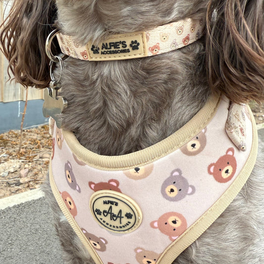 Bear Necessities Collar