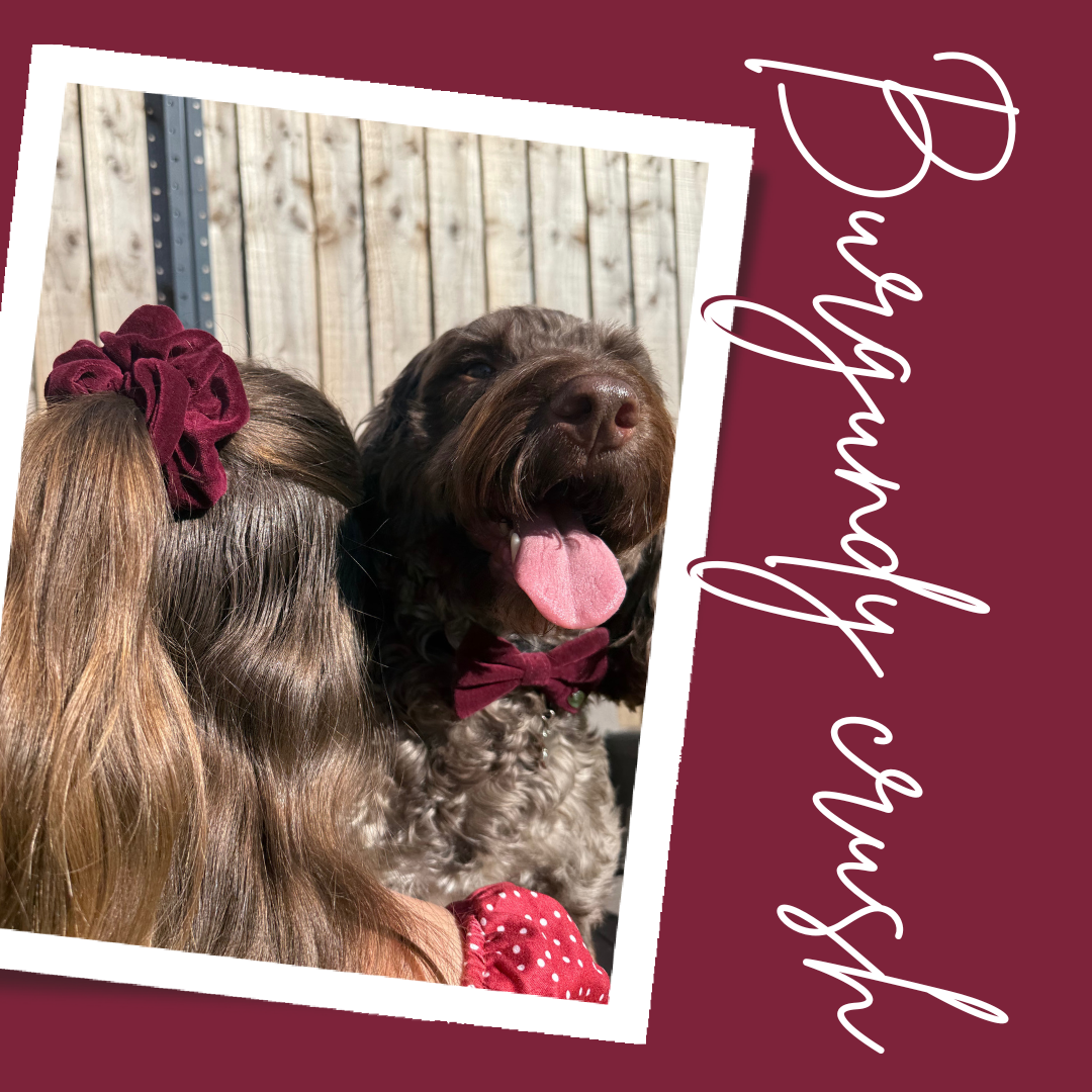 Burgundy Crush