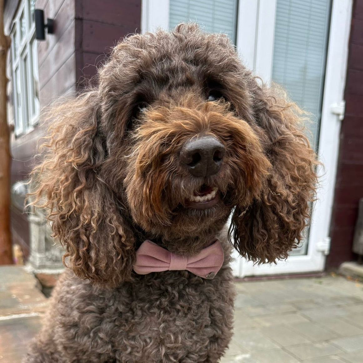 New Dusty Pink Bow