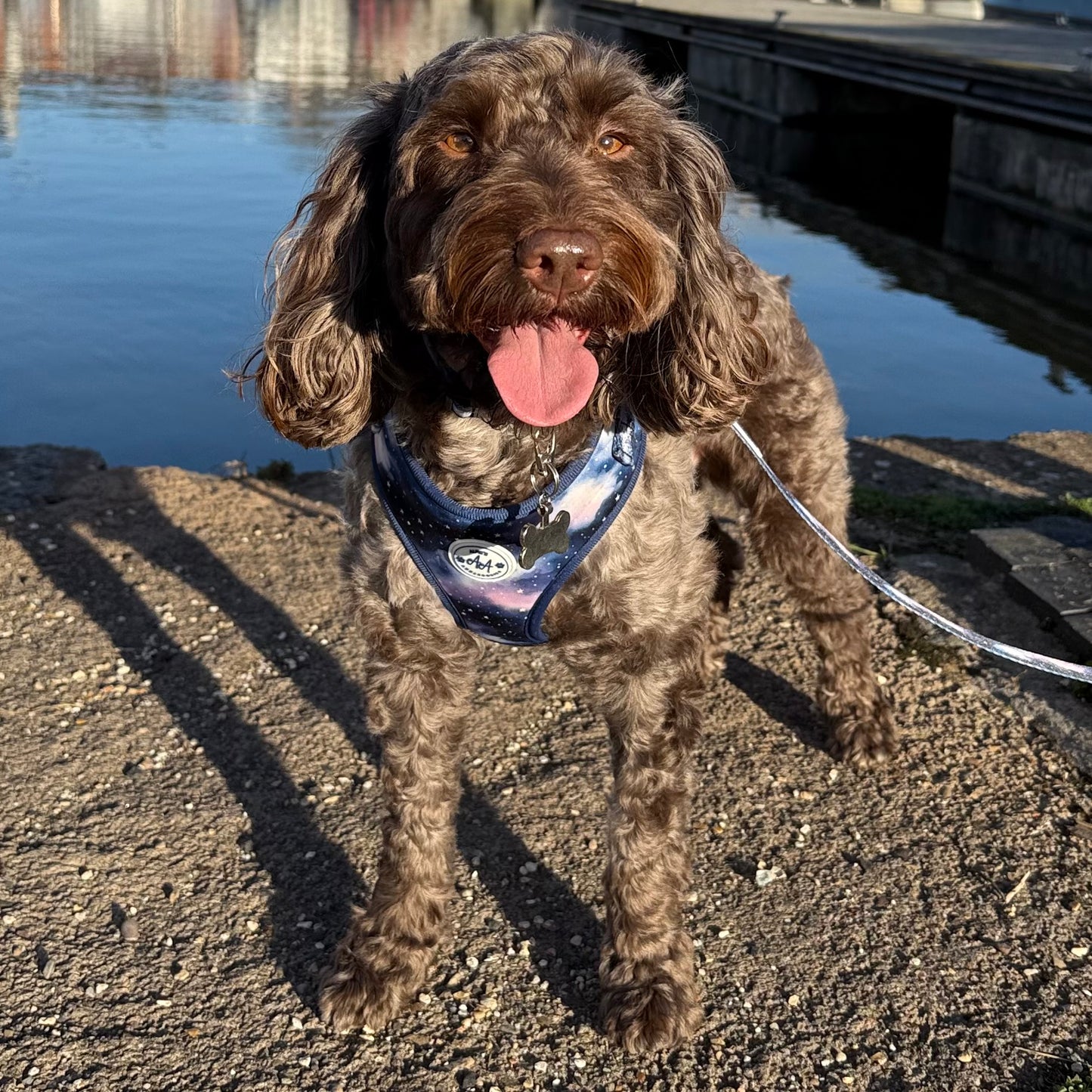 Starry Skies 3 Piece Bundle