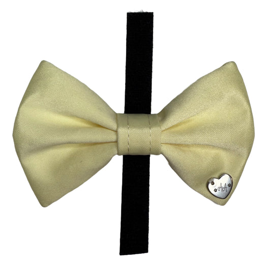 Lemon Drop Bow Tie