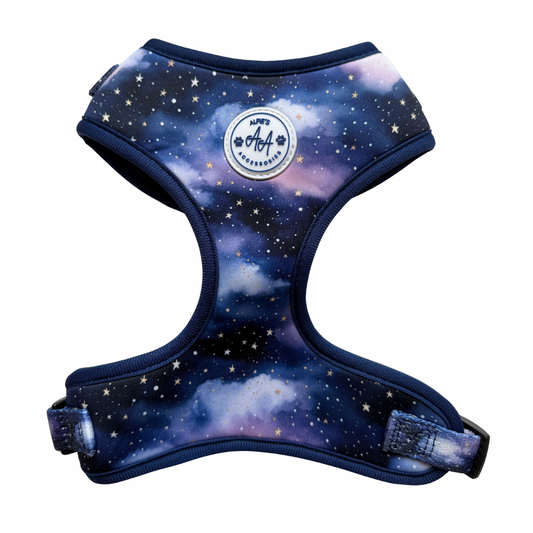 Starry Skies Harness
