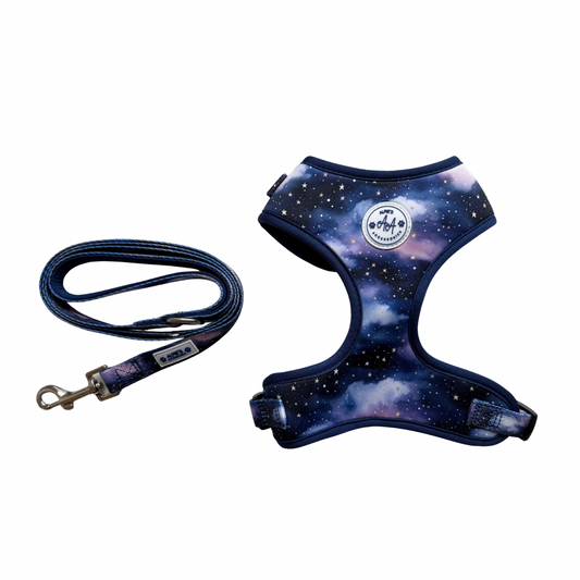 Starry Skies Harness and Lead Bundle