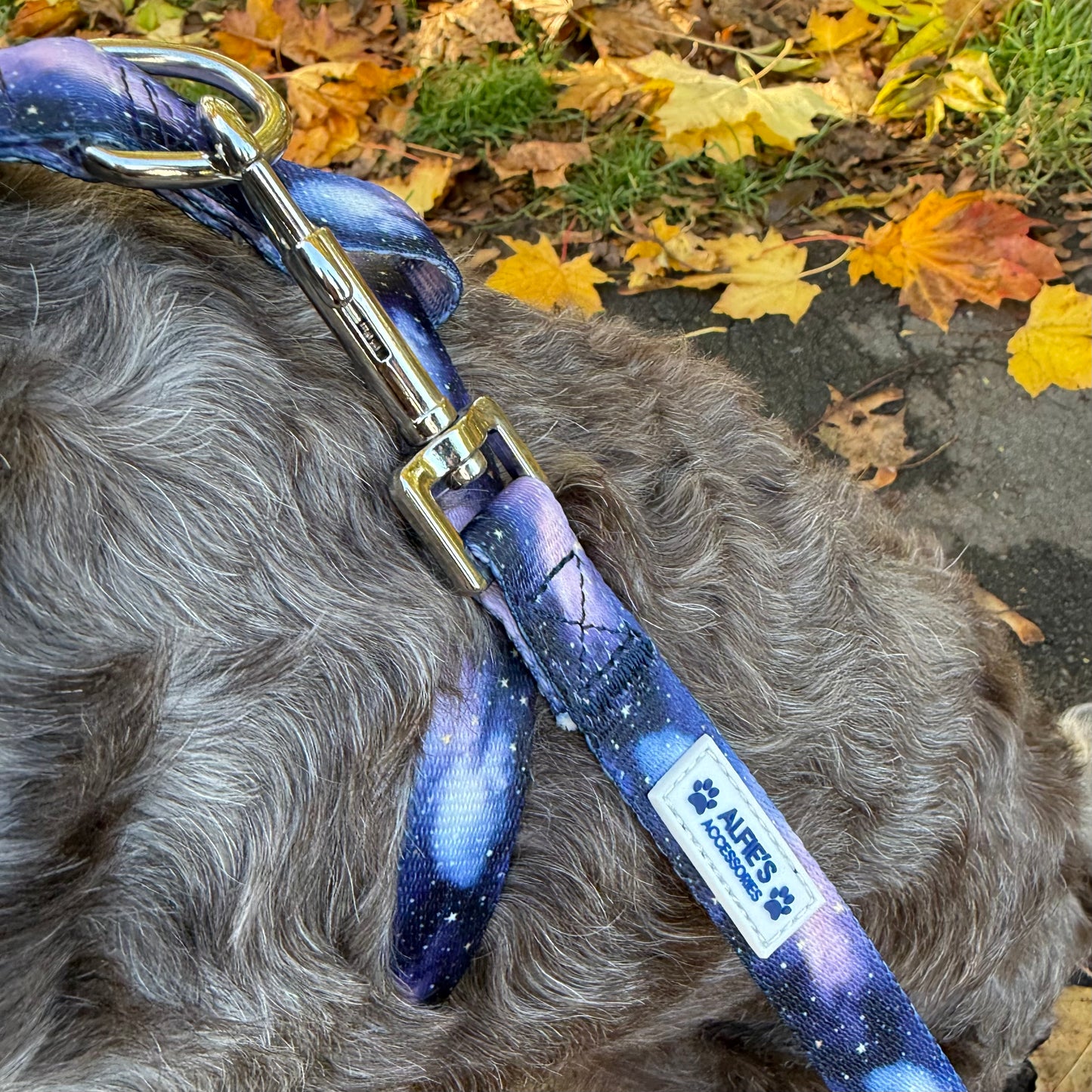 Starry Skies 3 Piece Bundle