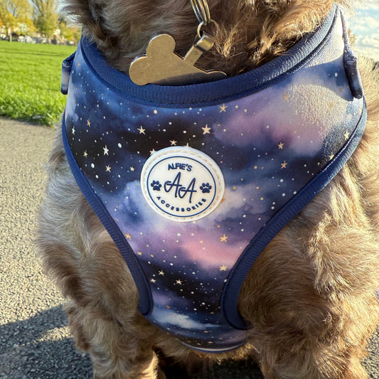Starry Skies Harness
