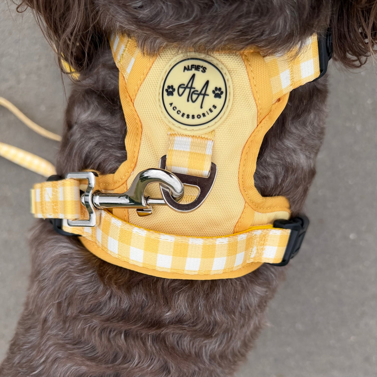 Buttercream 3-Clip Harness