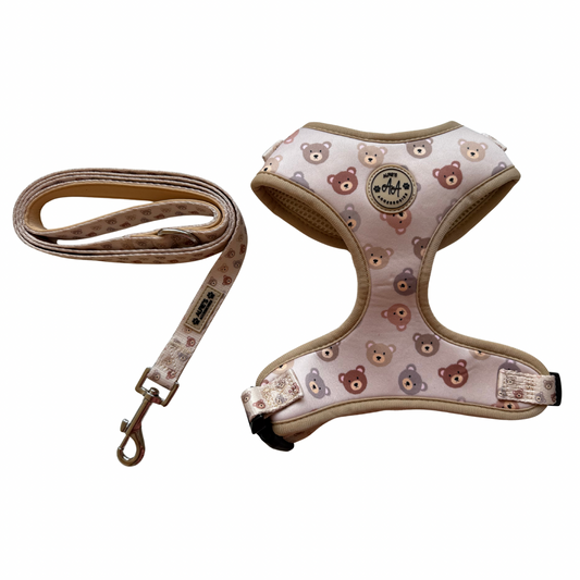 Bear Necessities Harness and Lead Bundle