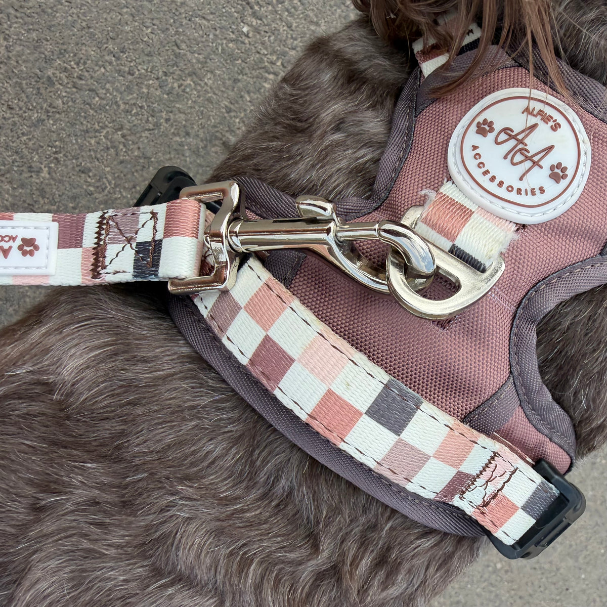 Cocoa 3 Piece Bundle