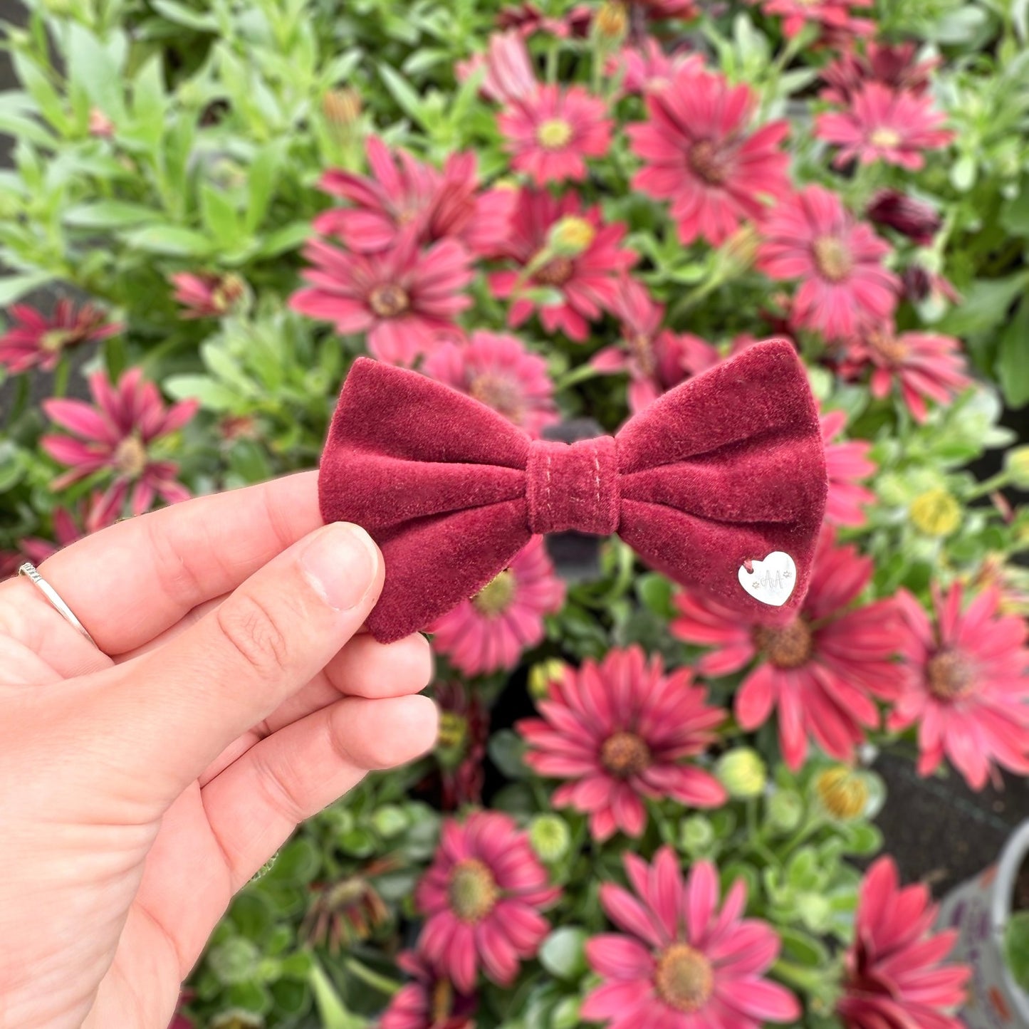 Burgundy Crush Bow
