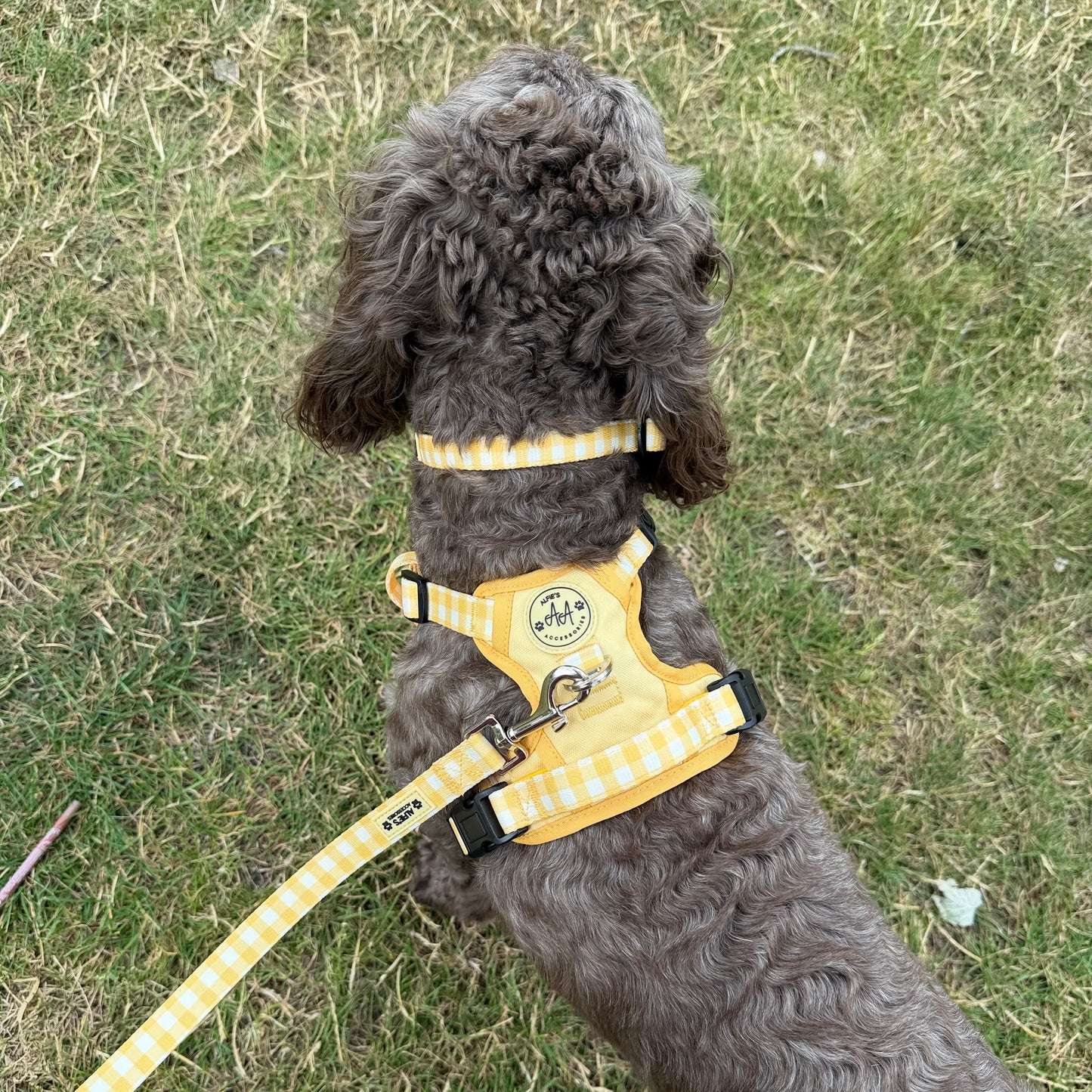 Buttercream 3-Clip Harness