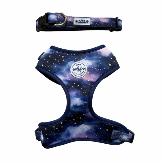 Starry Skies Harness and Collar Bundle