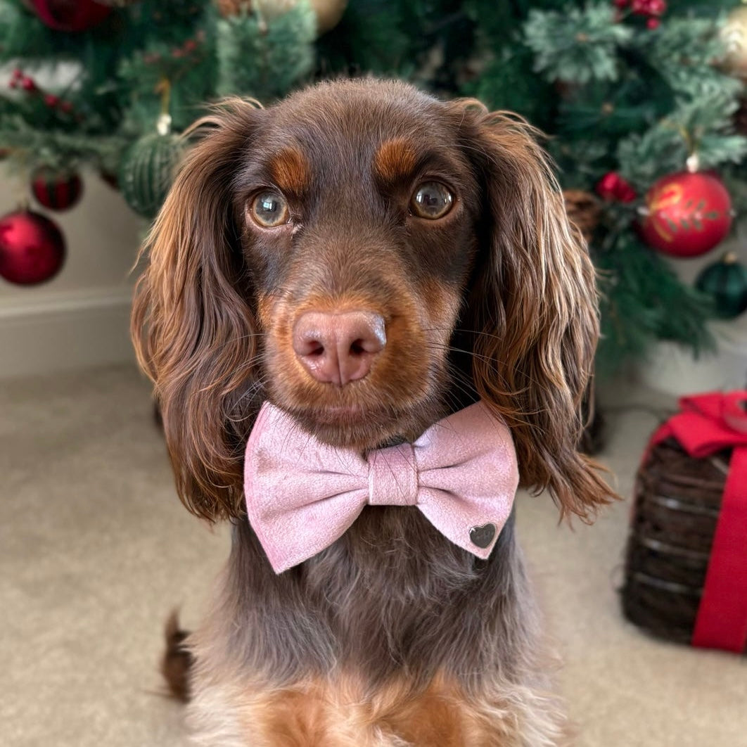 New Dusty Pink Bow