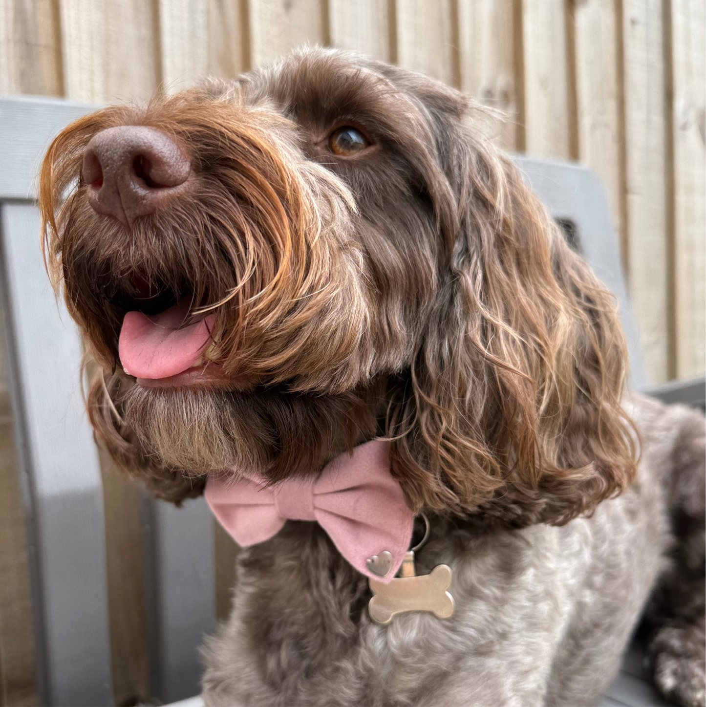 New Dusty Pink Bow