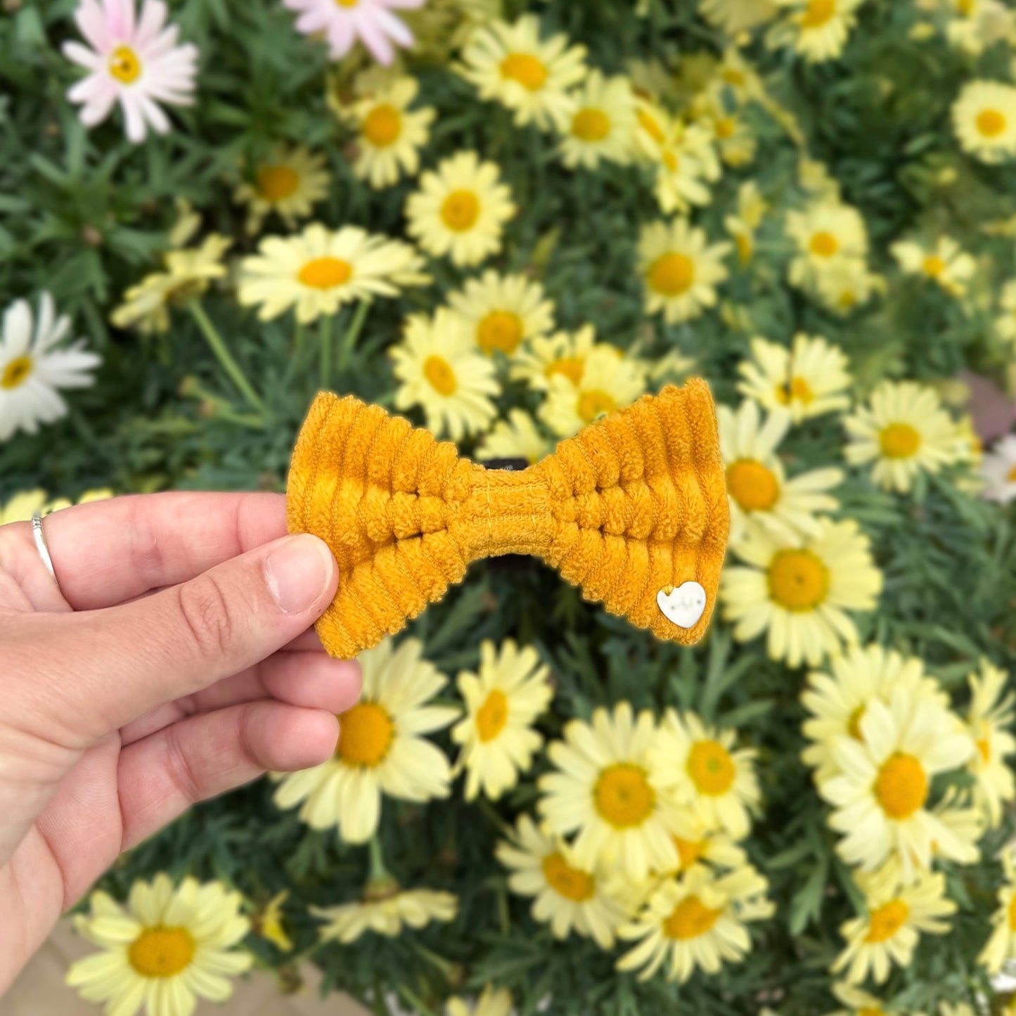 Saffron Charm Bow