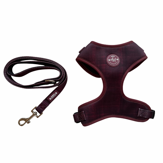 Burgundy Dream Harness and Lead Bundle