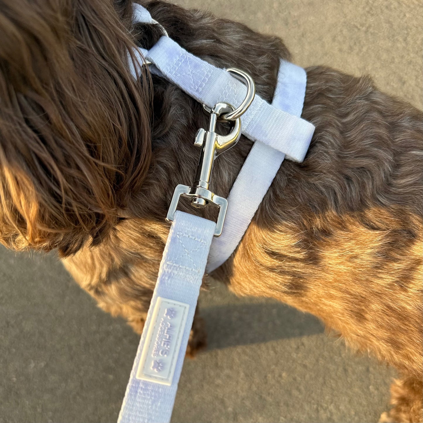 Lilac Haze Adjustable Harness
