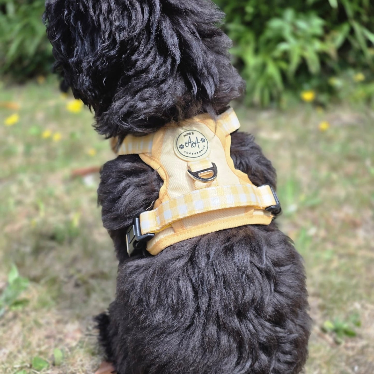Buttercream 3-Clip Harness