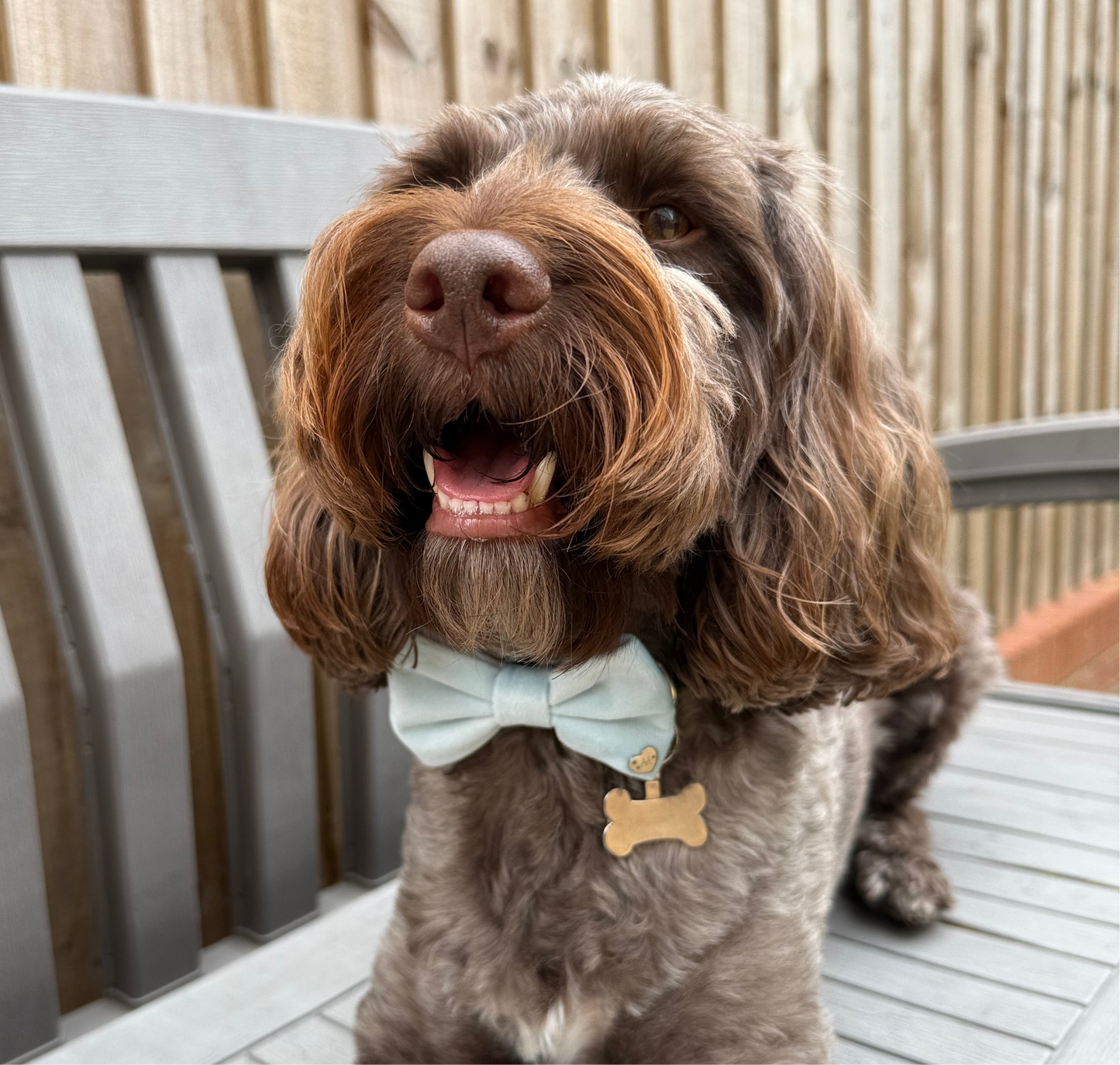New Baby Blue Bow