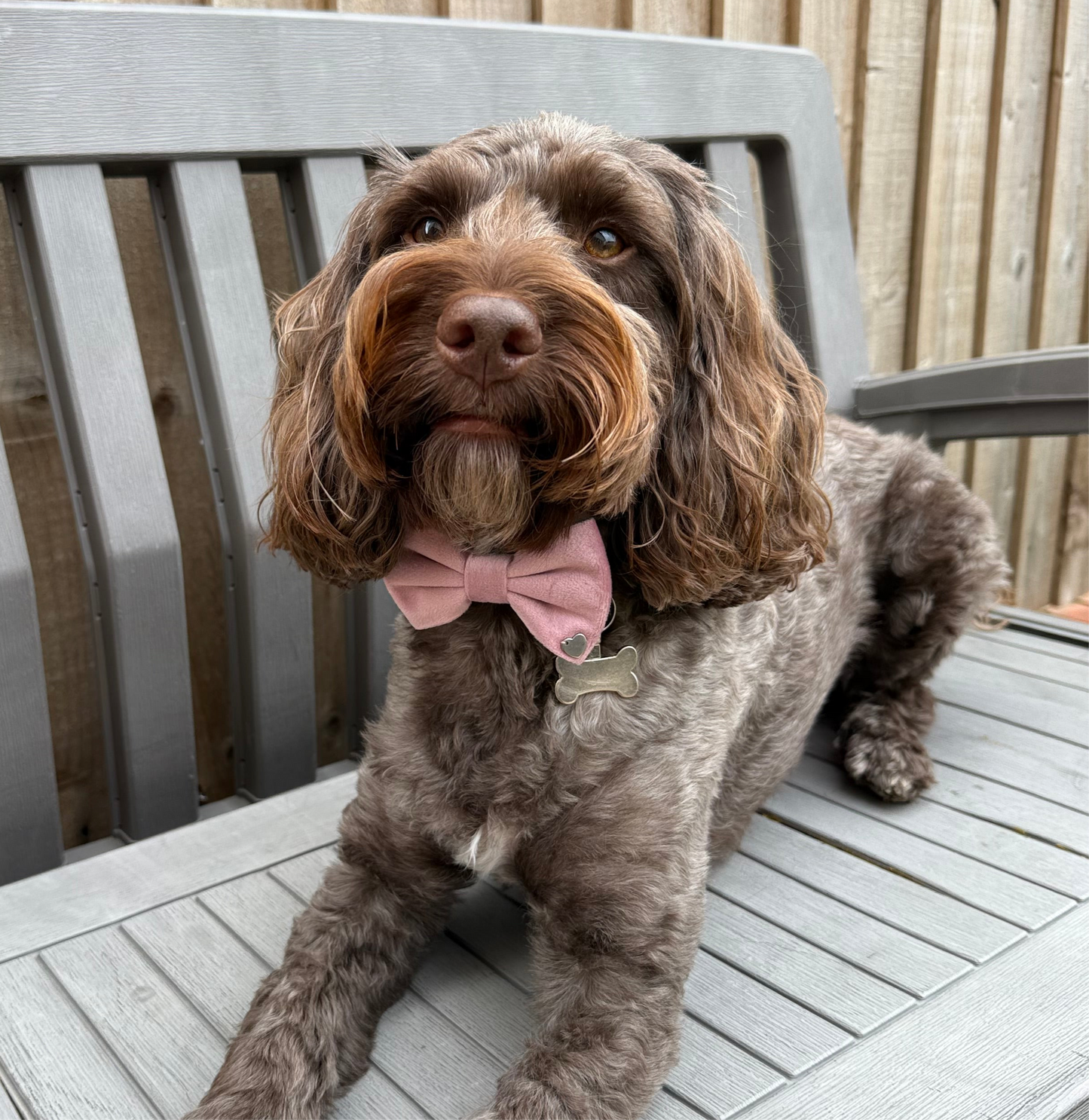 New Dusty Pink Bow
