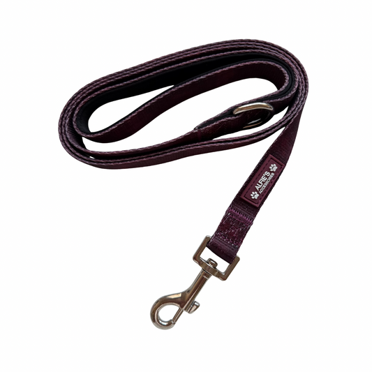 Burgundy Dream Lead