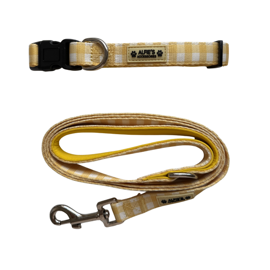 Buttercream Collar and Lead Bundle